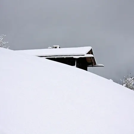 Chalet Mountain Obertreyen
